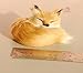 nanguawu Little Fox Sleeping Fengshui Learning Resources Miniature Plush Stuffed Animal Toy