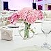 Flower Glass Vase Decorative Centerpiece for Home or Wedding by Royal Imports - Flat Fishbowl Shape, 7.5