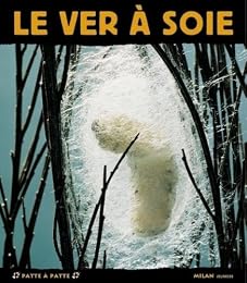 Le  ver à soie