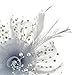 DRESHOW Fascinators Hat Flower Mesh Ribbons Feathers on a Headband and a Clip Tea Party Headwear for Girls and Women