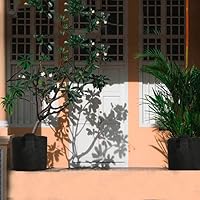 Awnic Sacos para Plantas Maceta Textil no Tejido Plantas Mini ...