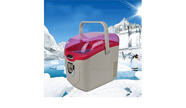 Amazon.es: Nevera Portátil, Refrigerador del coche 5L, 12V ...