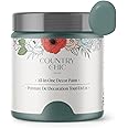 Country Chic All-in-One Chalk Paint for Furniture, Cabinets, Home Decor, Eco-Friendly, Matte Finish, Built-In Primer & Top Coat for Wood, Metal - Wanderess (Teal) - 8 oz (237 ml)