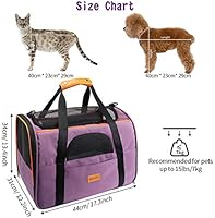 Nylabone pet carrier Nylabone pet carrier