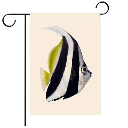 Amazon Com Beicici Double Sided Premium Garden Flag Reef