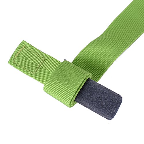 OrrinSports Exercise Waist Packs Storage Holder for Cell Phone, iPhone 7 6/6s Plus,Men,Women,Jogging,Gym Workouts, Walking,Hiking,Yoga Black