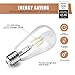 Oak Leaf Dimmable 6W Vintage Edison LED Bulbs, ST64 60W Equivalent LED Filament Light Bulb, Daylight White 5000K Antique Bulbs, E26 Base, 500 Lumens, CRI 80, ETL Listed, 6-Pac