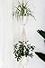 2 Tier Macrame Plant Hanger by TimeYard - Handmade indoor hanging Planter Pot Holder - Modern Boho Home Decor - 2 Pcs Ceiling Screw Hooks