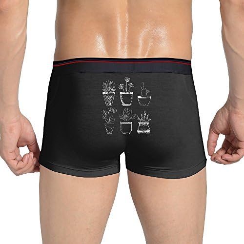 Different Types Of Flowerpots Logo Print Cotton Boxers Briefs