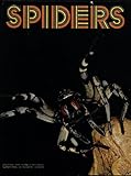 Spiders
