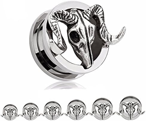 Bigbabybig Surgical Steel Tunnels Earrings for Man Women 2g Gauges Body Piercings