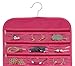 FloridaBrands Hanging Jewelry Organizer - Earrings Holder and Closet Hanger Organizer for Home Door Wall Organization Pockets for, Travel, Necklaces, Hair Accessories and Cosmetics Storage