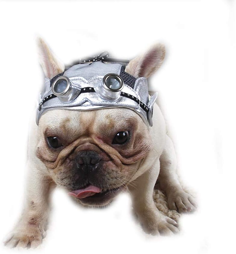 french bulldog hat with ears