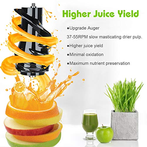 Wide Chute Slow Masticating Juicer Picberm Cold Press Juicer Extractor with Two Speed Modes, Juicer Machine for Higher Nutrient Fruit and Vegetable Juice, Quiet Motor & BPA-FREE