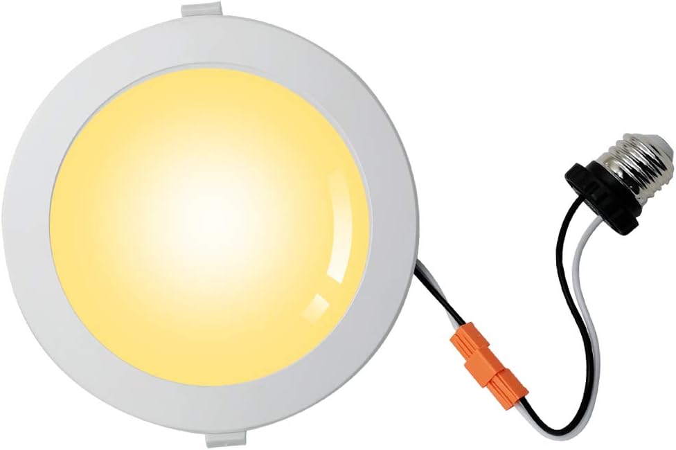downlight google home