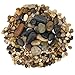 Decorative River Pebble Rocks 4 Lb. Bag of Multicolored Mixed Stones For Crafts House Garden Outdoor Indoor Office Beach Landscape Patio Lawn Yard Walkway Aquarium Planter Fish Bowl Tank And Vases