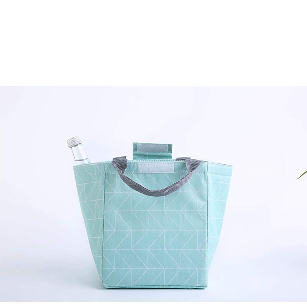 Qenci Insulated Lunch Bag, Thermal Cooler Lunch Bag Handbag Pouch Picnic Storage Box Lunch Bags