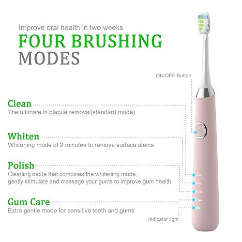 Sonic Electric Toothbrush, Rechargeable Toothbrush, Adult Electric Toothbrush with Holder and 2 Replacement Heads, (4 Modes with Automatic Timer, IPX7 Waterproof, Fast Charging), Pink
