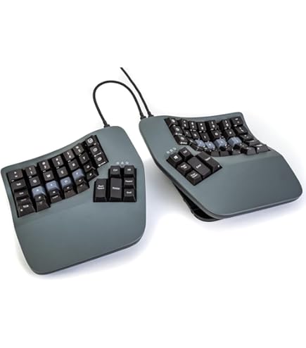 Amazon.com: Kinesis Savant Elite2 Programmable Triple Foot Pedal