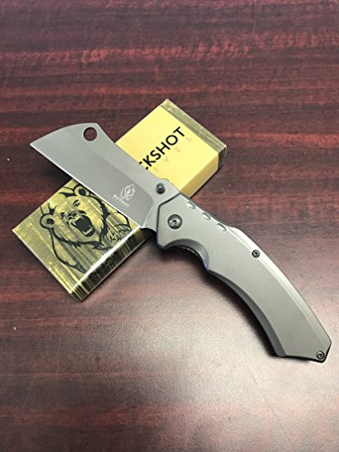 Buckshot thumb open spring assisted stainless steel handle with i…