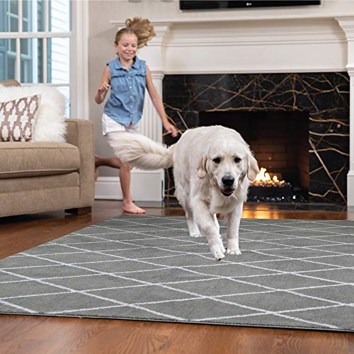 GORILLA GRIP Original FauxChinchilla Area Rug, 4x6 FT, Many Colors