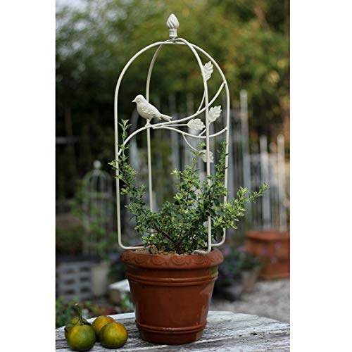 CJSWT Garten Pflanzenstütze Rankhilfe,Blumenstütze Gitterspalier Topfpflanzen Rankgitter Pflanzkübel Pflanzenkäfige für… – Bild 4