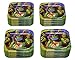 American Greetings Teenage Mutant Ninja Turtle (TMNT) Party Supplies, Paper Dessert Plates (40-Count)