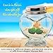 Luffy Heart Jar: Beautiful heart shape: Thick strong glass: Tight seal with metal cap: Sturdy base: Use for party favors, candy, Marimo balls, Aromatherapy Oils, Bath salts, spices and DIY projects!