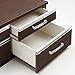 Lsgoodcare Crystal Glass Drawer Handles Silver Europe Simple U Shape Rhinestone Dresser Cupboard Pull, 10Pack 5.4
