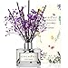 COCODOR Preserved Real Flower Reed Diffuser/French Lavender / 6.7oz(200ml) / 1 Pack/Reed Diffuser Set, Oil Diffuser & Reed Diffuser Sticks, Home Decor & Office Decor, Fragrance and Gifts