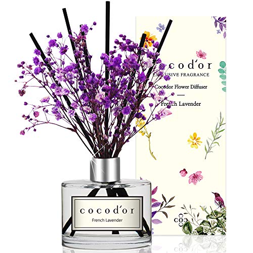 Cocod'or Preserved Real Flower Diffuser/French Lavender/6.7oz/Diffuser Oil & Sticks Set/Fragrance for Home Office Aromatherapy and Gifts
