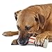 Petstages Beyond Bone Alternative Dog Chew Toy, Large