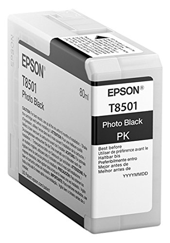 Epson T850100 T850 UltraChrome HD Photo black Ink