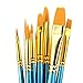 Polytree 10x Round Pointed/Flat Tip Nylon Hair Acrylic Watercolor Artist Paint Brush Set