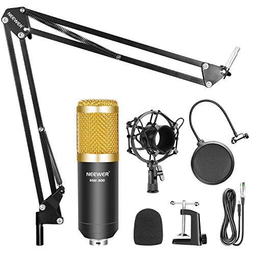 1 Neewer+Professional+Broadcasting+Microphone+Adjustable