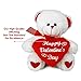 Colonel Pickles Novelties Valentines Day Teddy Bear – Big 10 Inch Size Stuffed Animal – Plush Valentine Gifts for Him Or Her