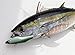 Yo-Zuri R1303-CFF High Speed Vibe, Color, Flying Fish, 130mm 5-1/4