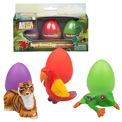 Animal Grow Eggs Rain Forest Hatch and Grow Three Different