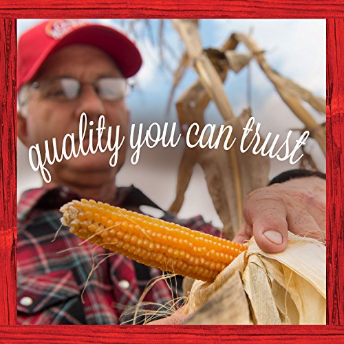 Orville Redenbacher's Kettle Corn Popcorn - Image 8