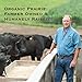 Organic Prairie Pasture Raised 85% Lean Organic Ground Beef, 1 lb