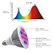 I-PURE ITEMS TM 24W LED Grow Light Bulb, High Efficient Plant Growing Lamps for Garden, Greenhouse, Indoor Gardening,Hydroponic and Family Balcony