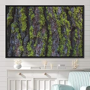 signwin Framed Canvas Wall Art Greenlands Aerial Dark...