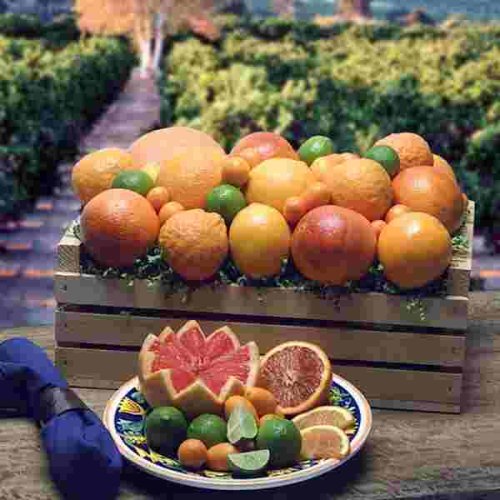 California Citrus Crate