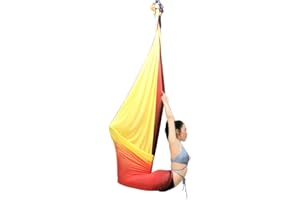 WELLSEM Aerial Yoga Hammock Aerial Pilates Silk Yoga Swing Set Inversion Equipment include daisy Chain, Pose Guide 5.5 yards