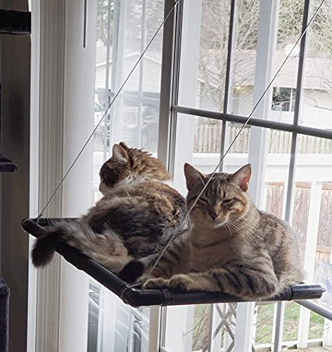 Dracarys Cat Hammock Window | for Large Cats up to 20 kg | Reinforced Hammock with Strong Suction Cup | for Sunbathing, Pet Bed | for Large Windows