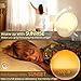 Wake Up Light, Cshidworld Sunrise Alarm Clock 7 Colored Sunrise Simulation & Sleep Aid Feature, Dual Digital LED Alarm Clock with FM Radio, 7 Natural Sound and Snooze for Kids Adults Bedrooms