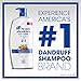 Head and Shoulders Dry Scalp Care with Almond Oil 2-in-1 Anti-Dandruff Shampoo + Conditioner 32.1 fl oz