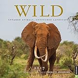 Cover for 9780789332073