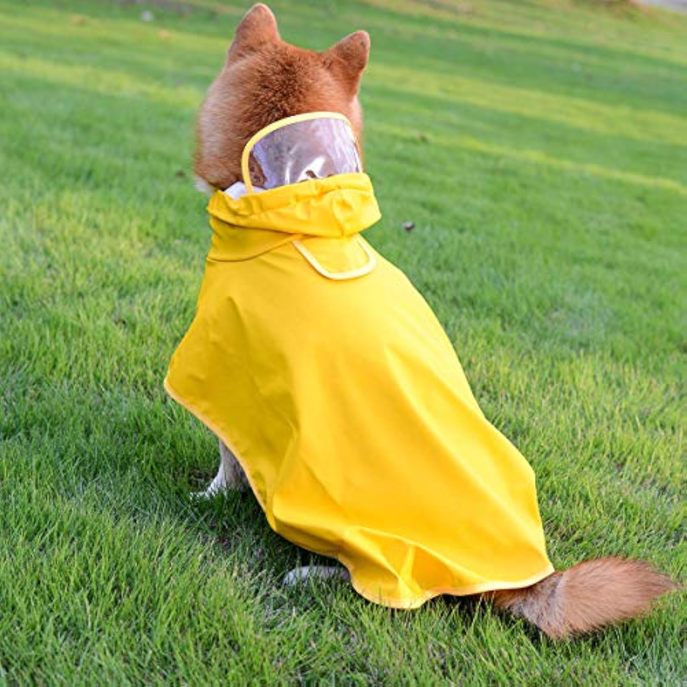 Yellow Dog Raincoat Puppy Waterproof Jacket With Hood