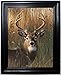 Those Flipping Pictures STAG 3D Framed Wall Art-Lenticular Technology Causes The Artwork to Have Depth and Move-Hologram Style Images-Holographic Optical Illusions